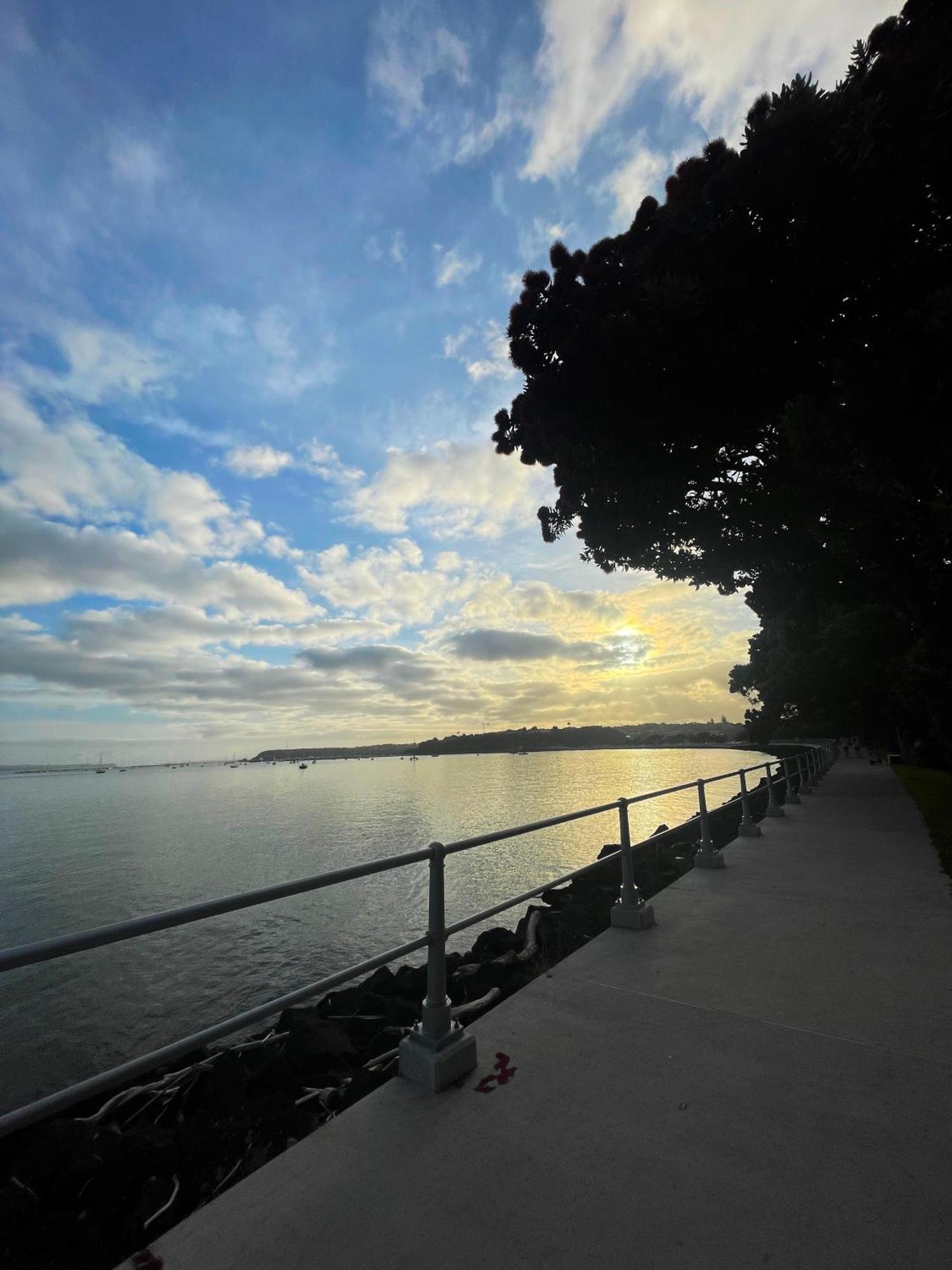 Luxury Apartment - Parking - Hot Tub - Stunning Views Auckland Exteriér fotografie